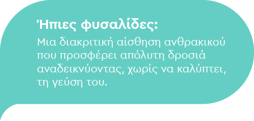 Ήπιες φυσαλίδες: Μια διακριτική αίσθηση ανθρακικού που προσφέρει απόλυτη δροσιά αναδεικνύοντας, χωρίς να καλύπτει, τη γεύση του.