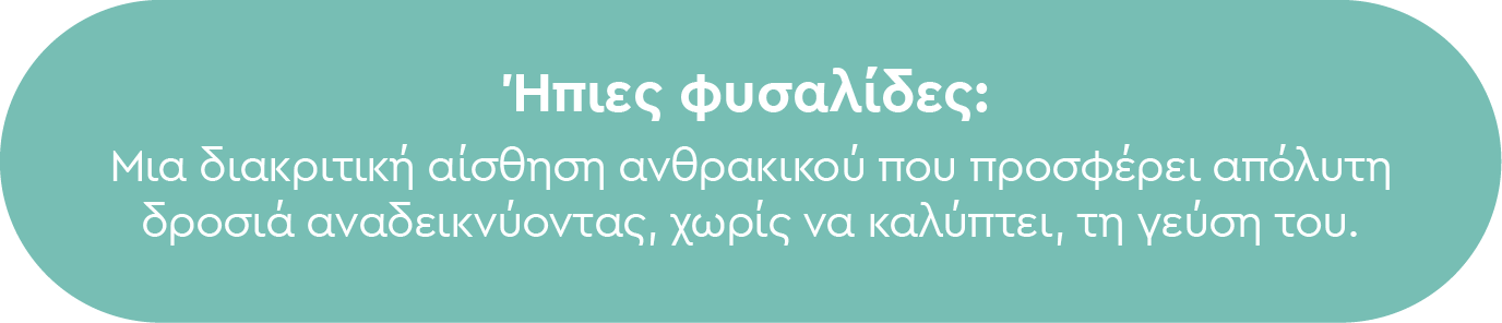 Ήπιες φυσαλίδες: Μια διακριτική αίσθηση ανθρακικού που προσφέρει απόλυτη δροσιά αναδεικνύοντας, χωρίς να καλύπτει, τη γεύση του.