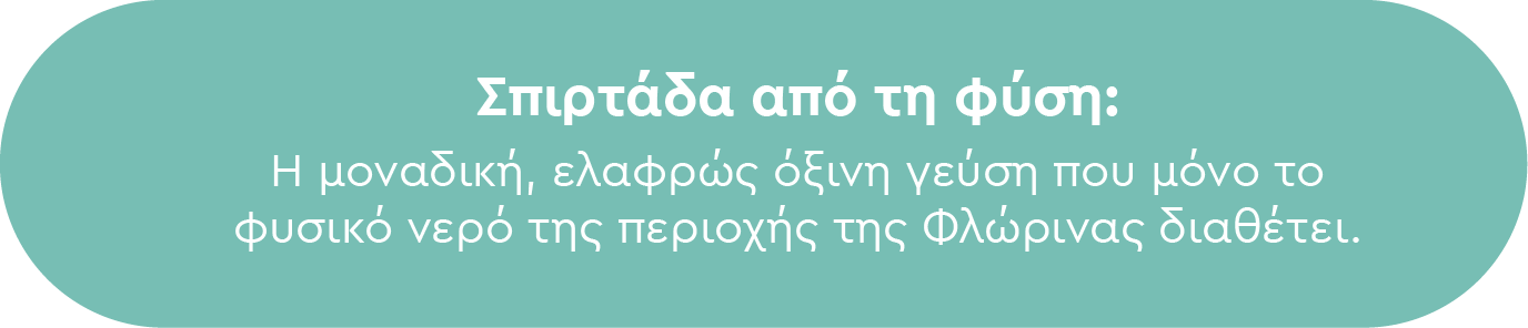 Σπιρτάδα από τη φύση: Η μοναδική, ελαφρώς όξινη γεύση που μόνο το φυσικό νερό της περιοχής της Φλώρινας διαθέτει.