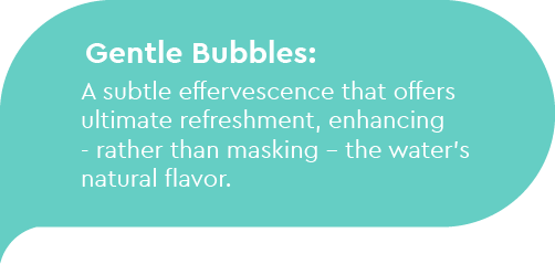 Gentle Bubbles: A subtle effervescence that offers ultimate refreshment, enhancing—rather than masking—the water’s natural flavor.